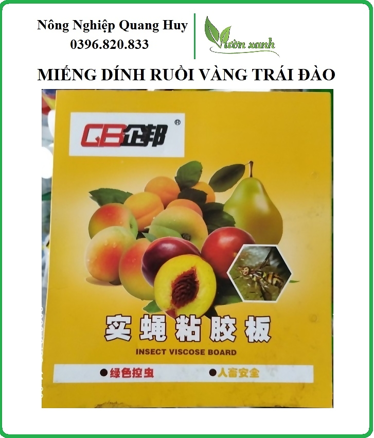 Miếng dính bẫy ruồi vàng, côn trùng dùng cho vườn lan, cây ăn trái KT 21x38cm
